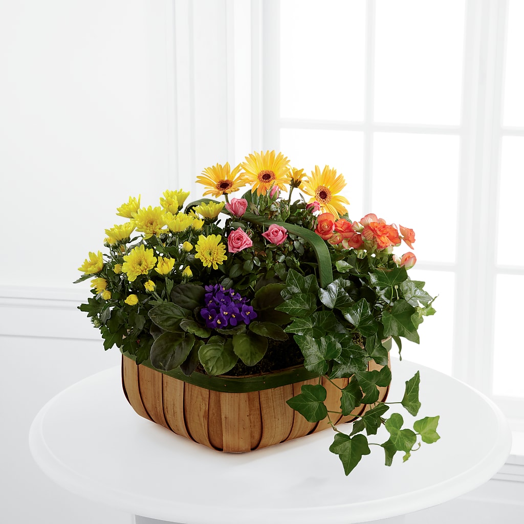 Gentle Blossoms Basket – MARILYN'S FLOWERS & GIFTS, Camden TN