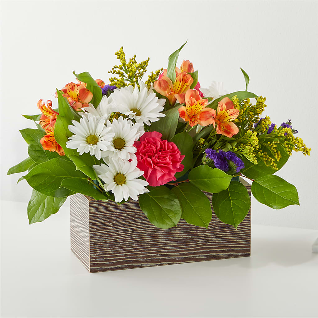 Oopsie Daisy Box Bouquet – MARILYN'S FLOWERS & GIFTS, Camden TN