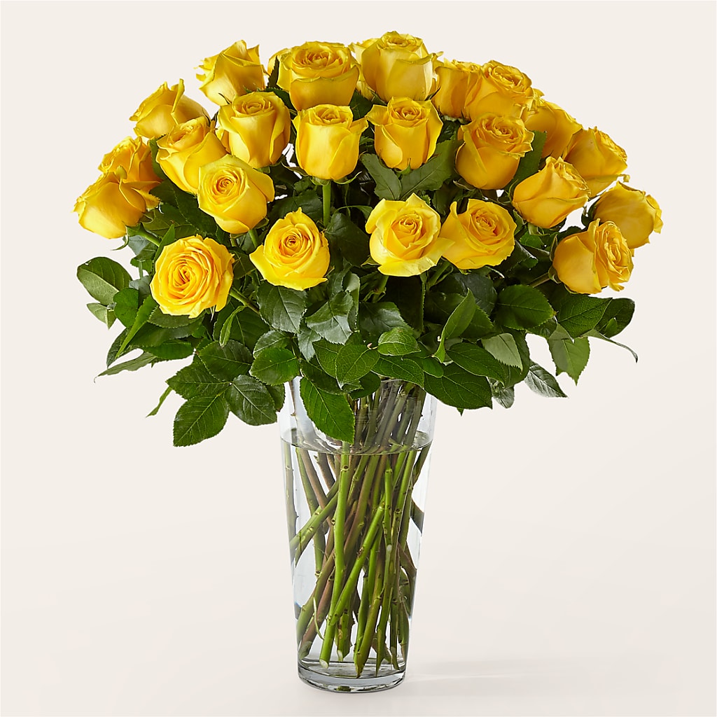 Long Stem Yellow Rose Bouquet – MARILYN'S FLOWERS & GIFTS, Camden TN