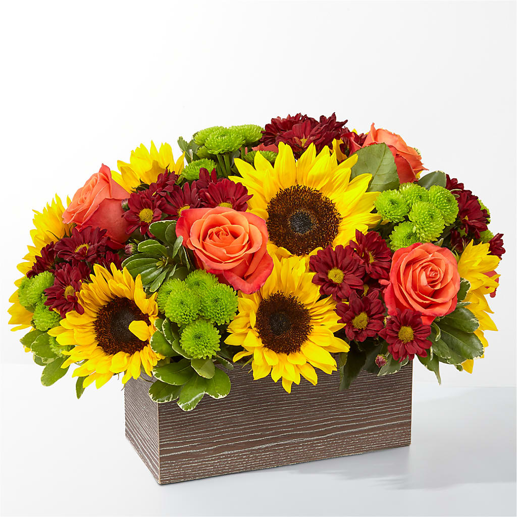 Happy Harvest Garden – MARILYN'S FLOWERS & GIFTS, Camden TN