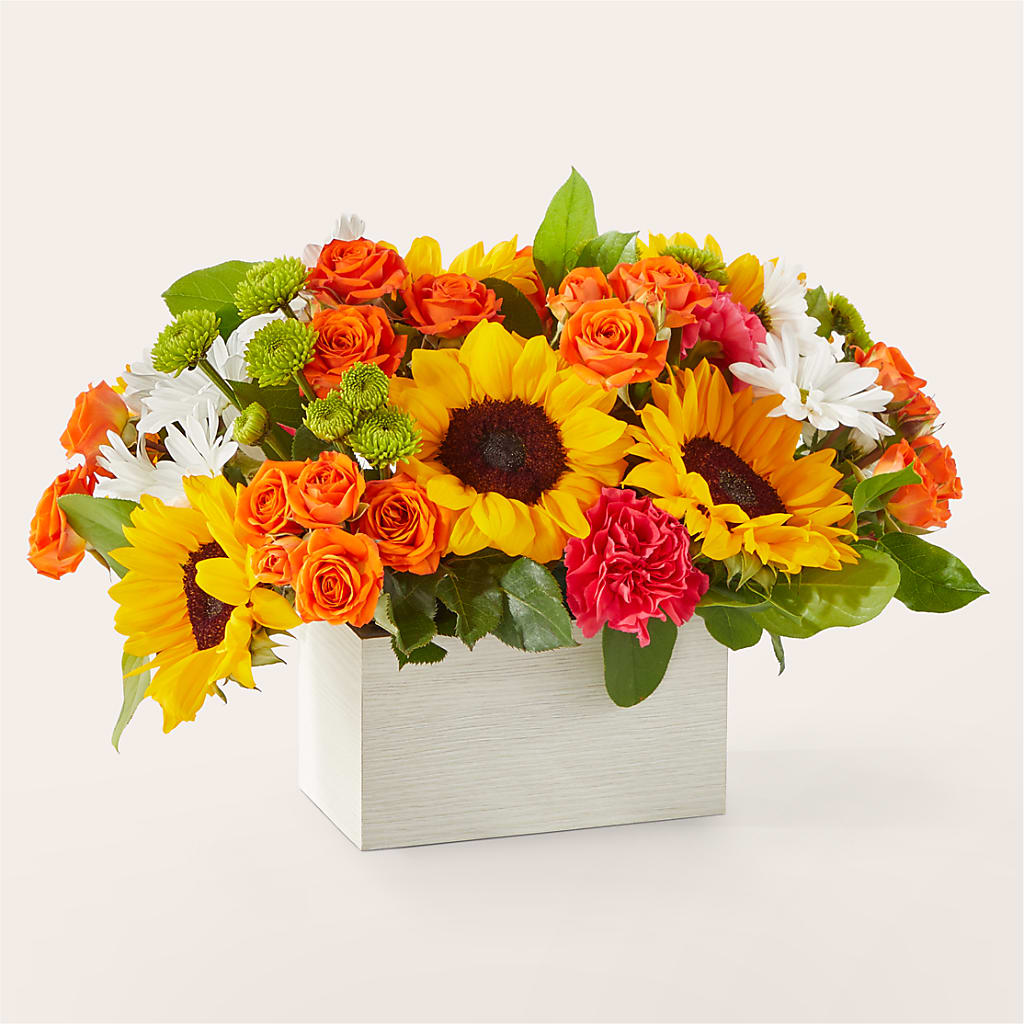 Sun-drenched Blooms Box Bouquet – MARILYN'S FLOWERS & GIFTS, Camden TN