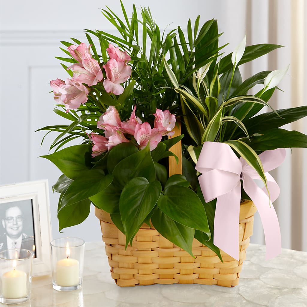 Living Spirit Dishgarden – MARILYN'S FLOWERS & GIFTS, Camden TN