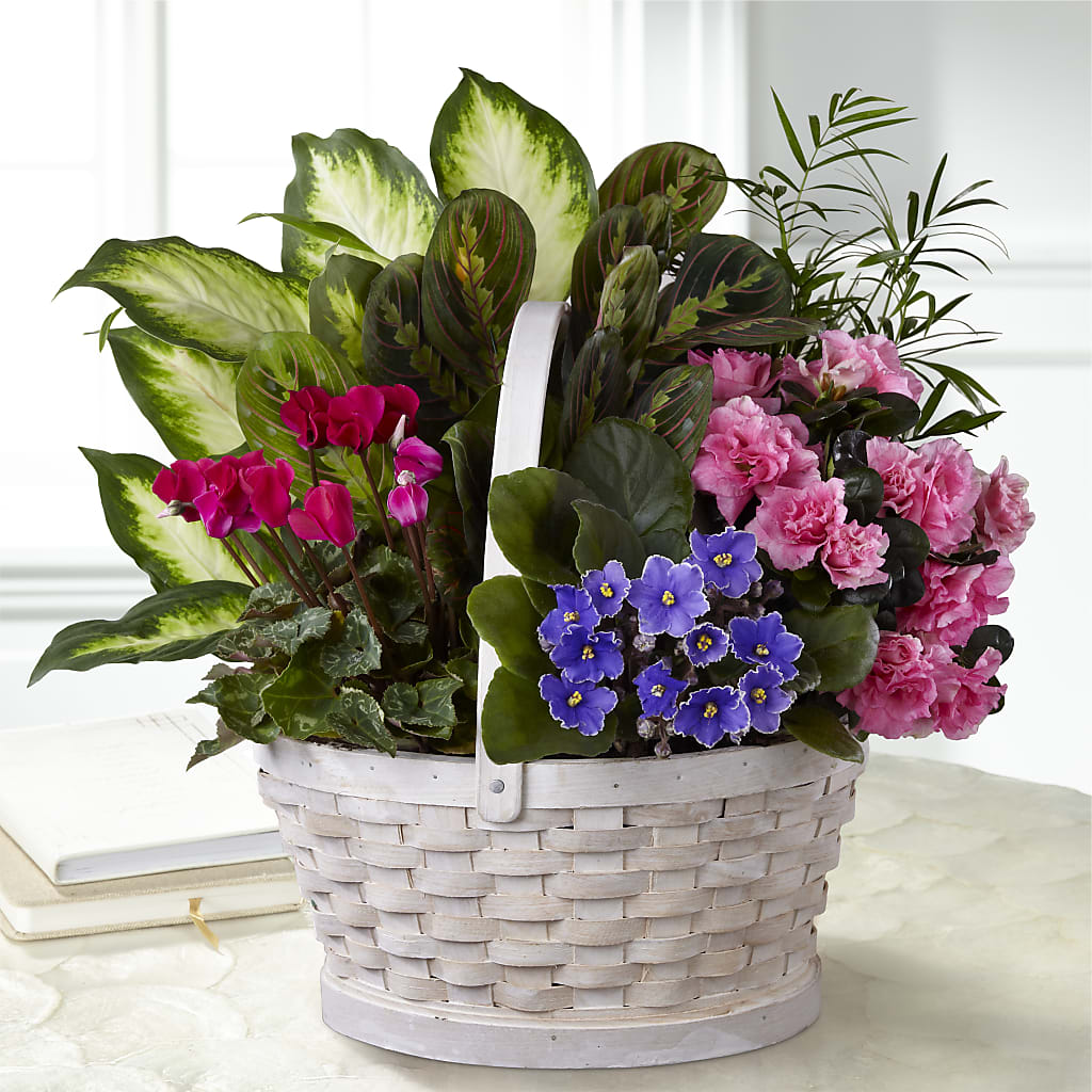 Peaceful Garden Planter – MARILYN'S FLOWERS & GIFTS, Camden TN