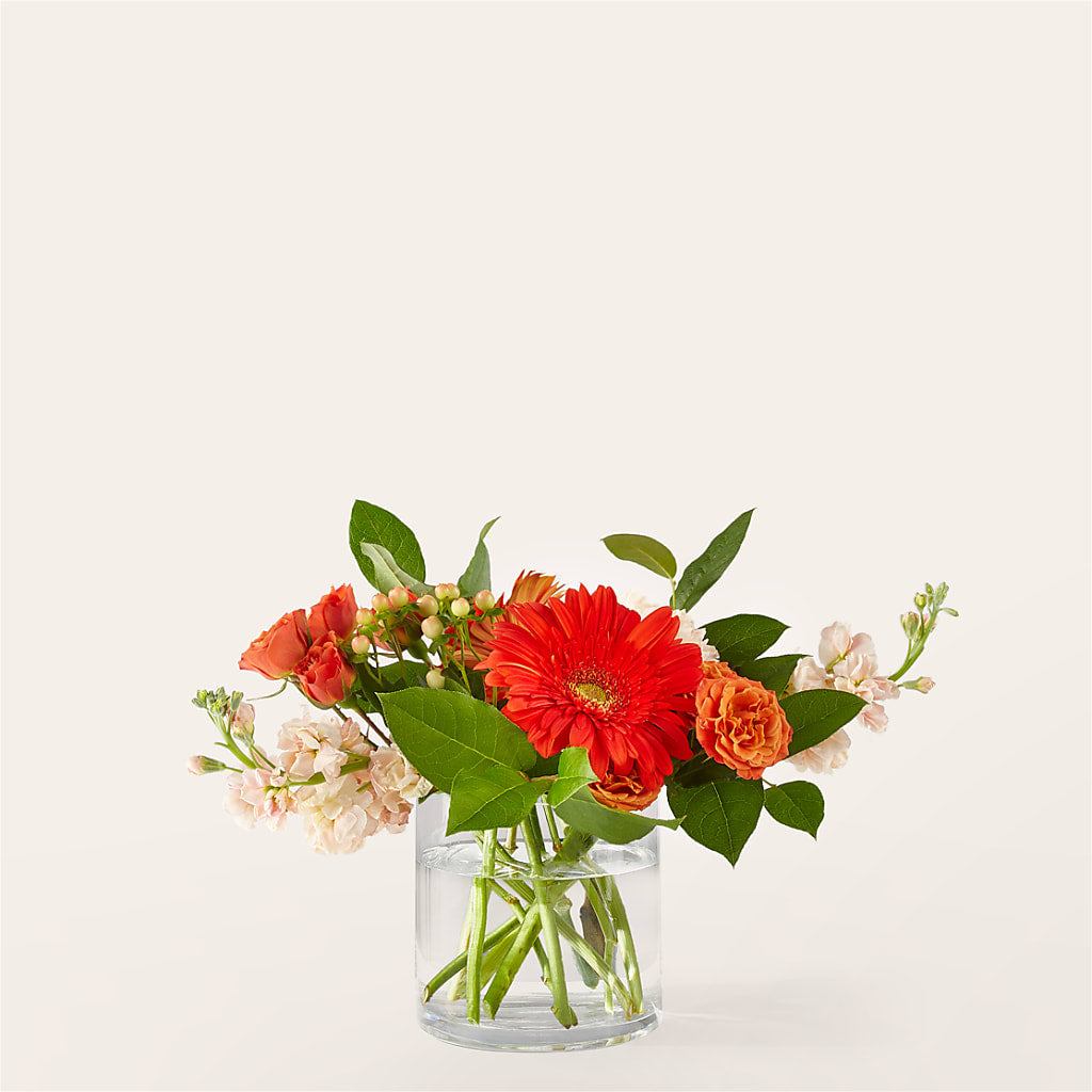 Paloma Please Bouquet – MARILYN'S FLOWERS & GIFTS, Camden TN