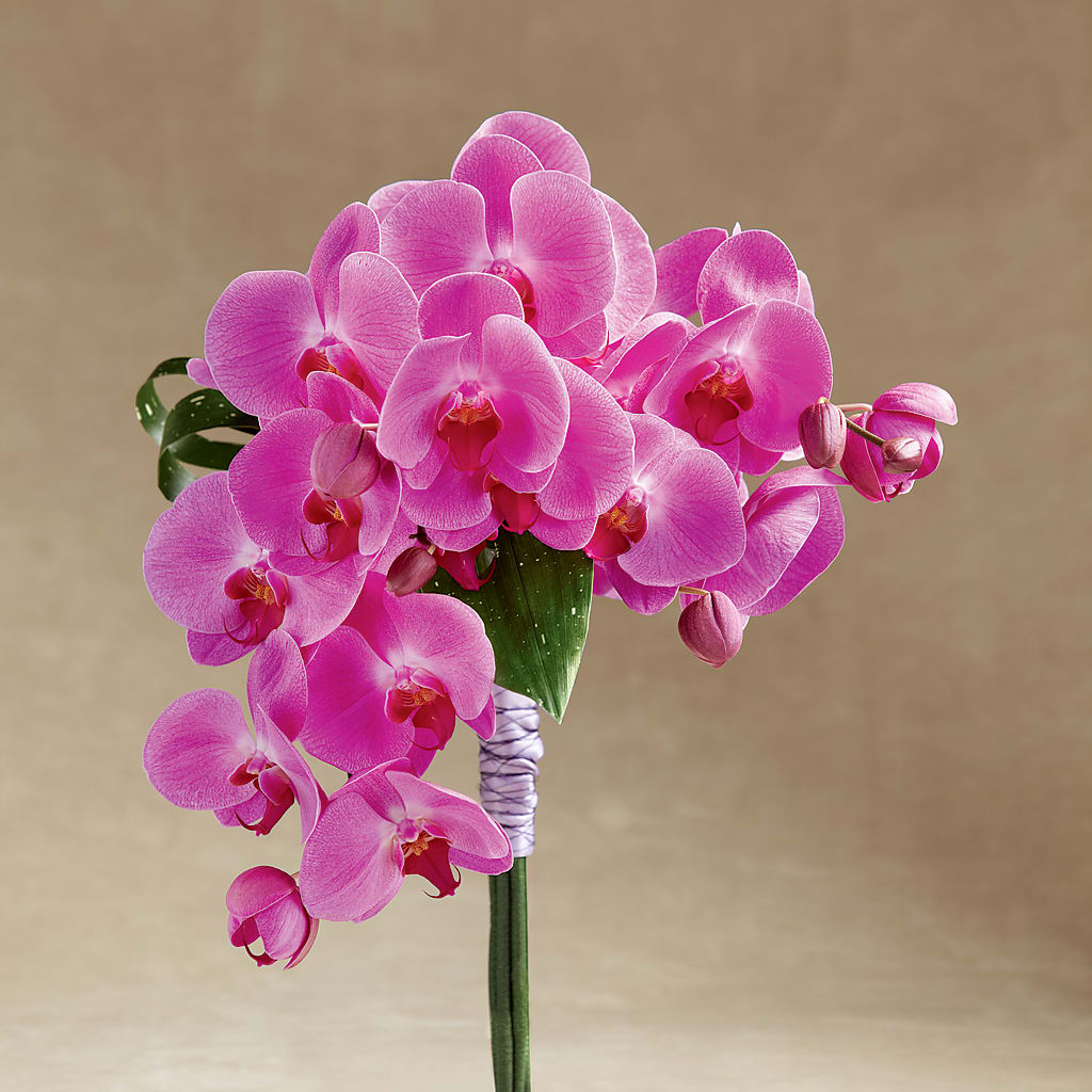 Glorious Bouquet – MARILYN'S FLOWERS & GIFTS, Camden TN