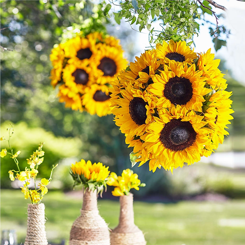 Sublime Garden Hanging Arrangement – MARILYN'S FLOWERS & GIFTS, Camden TN