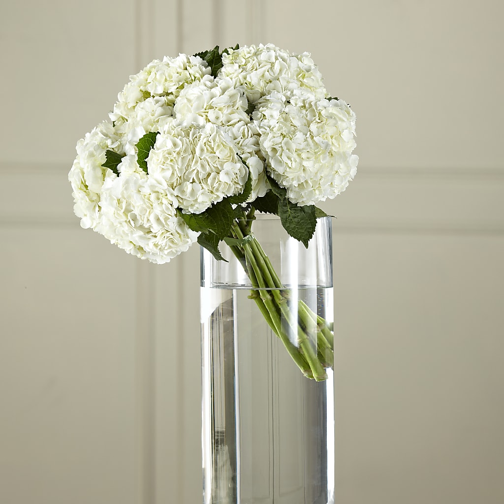 White Hydrangea Hand-Tied Bouquet – MARILYN'S FLOWERS & GIFTS, Camden TN