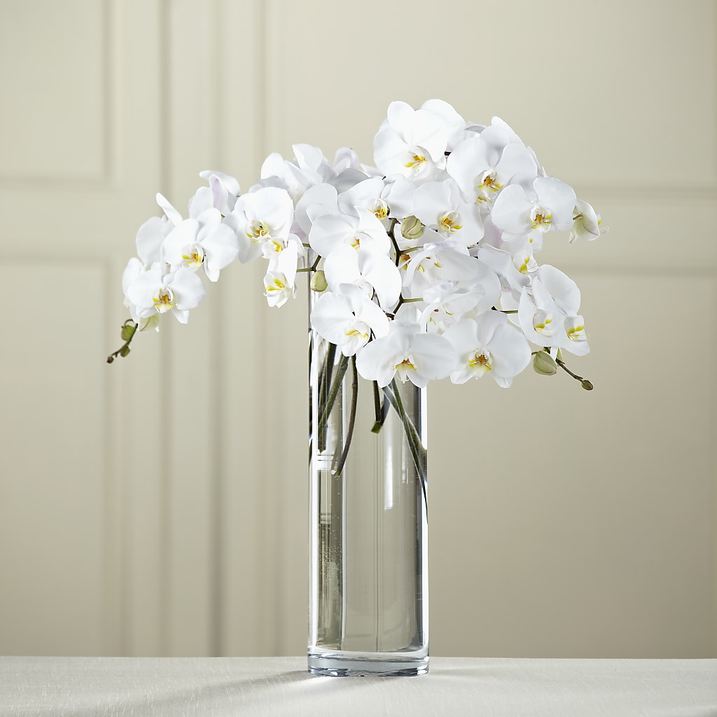 White Phalaenopsis Bouquet – MARILYN'S FLOWERS & GIFTS, Camden TN