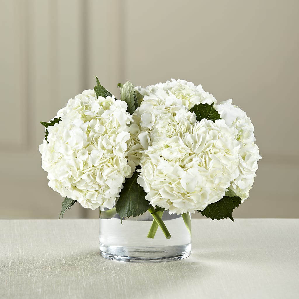 White Hydrangea Bouquet – MARILYN'S FLOWERS & GIFTS, Camden TN