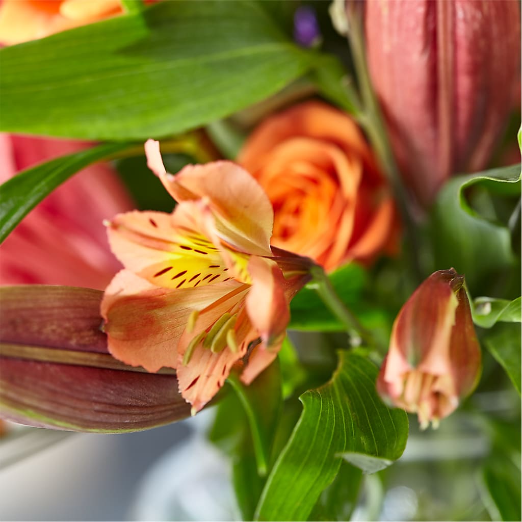 Bold & Bright – A Florist Original – MARILYN'S FLOWERS & GIFTS, Camden TN