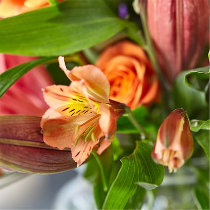 Bold & Bright – A Florist Original – MARILYN'S FLOWERS & GIFTS, Camden TN