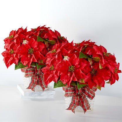 Happiest Holidays Poinsettia Bundle – MARILYN'S FLOWERS & GIFTS, Camden TN