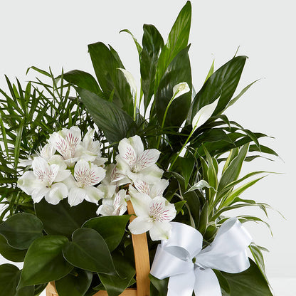 Peace & Serenity Dishgarden – MARILYN'S FLOWERS & GIFTS, Camden TN