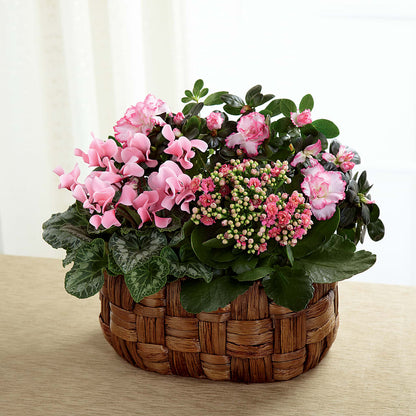 Pink Assortment – MARILYN'S FLOWERS & GIFTS, Camden TN
