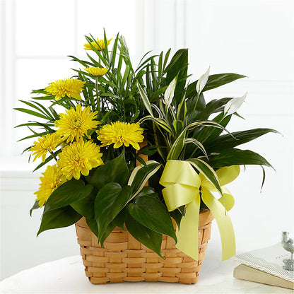 Loving Light Dishgarden – MARILYN'S FLOWERS & GIFTS, Camden TN