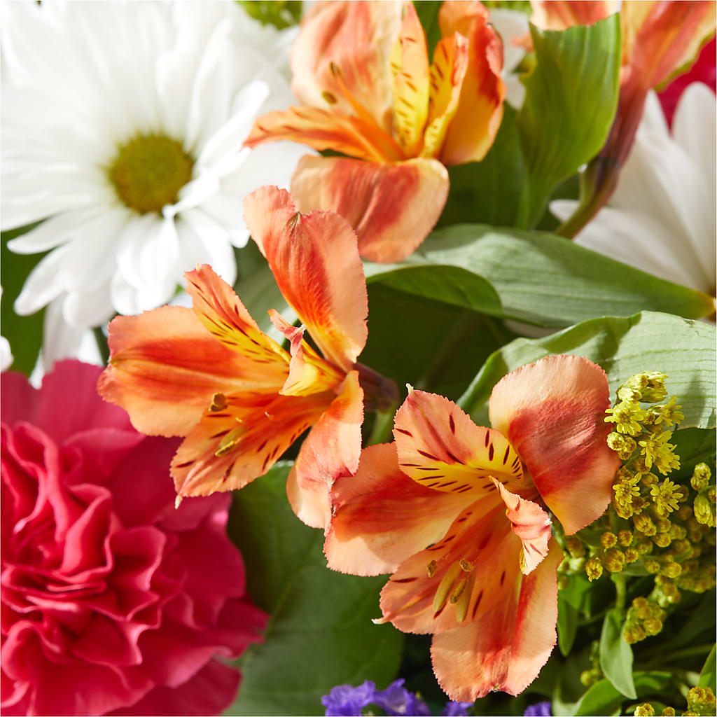 Oopsie Daisy Box Bouquet – MARILYN'S FLOWERS & GIFTS, Camden TN