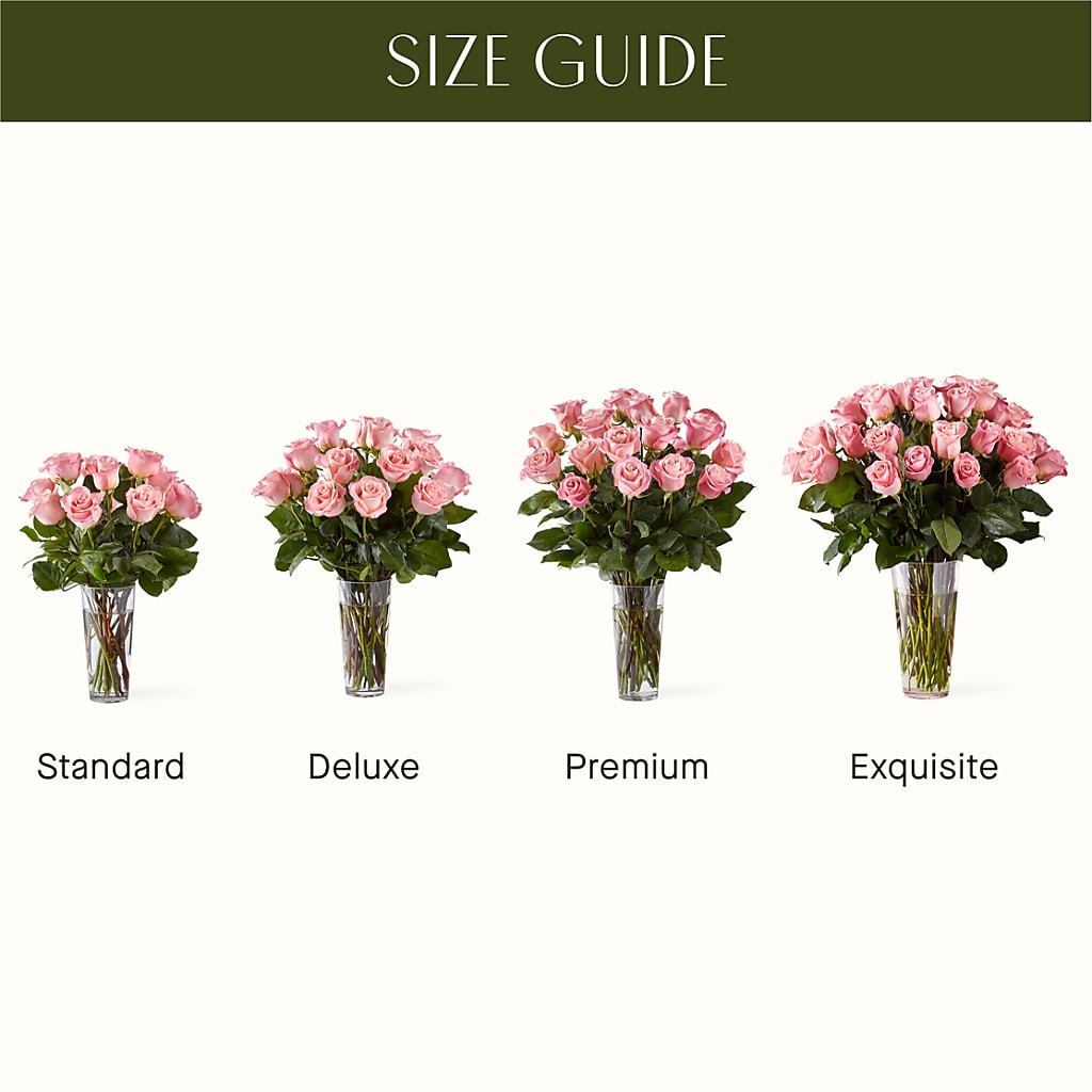 Long Stem Pink Rose Bouquet – MARILYN'S FLOWERS & GIFTS, Camden TN