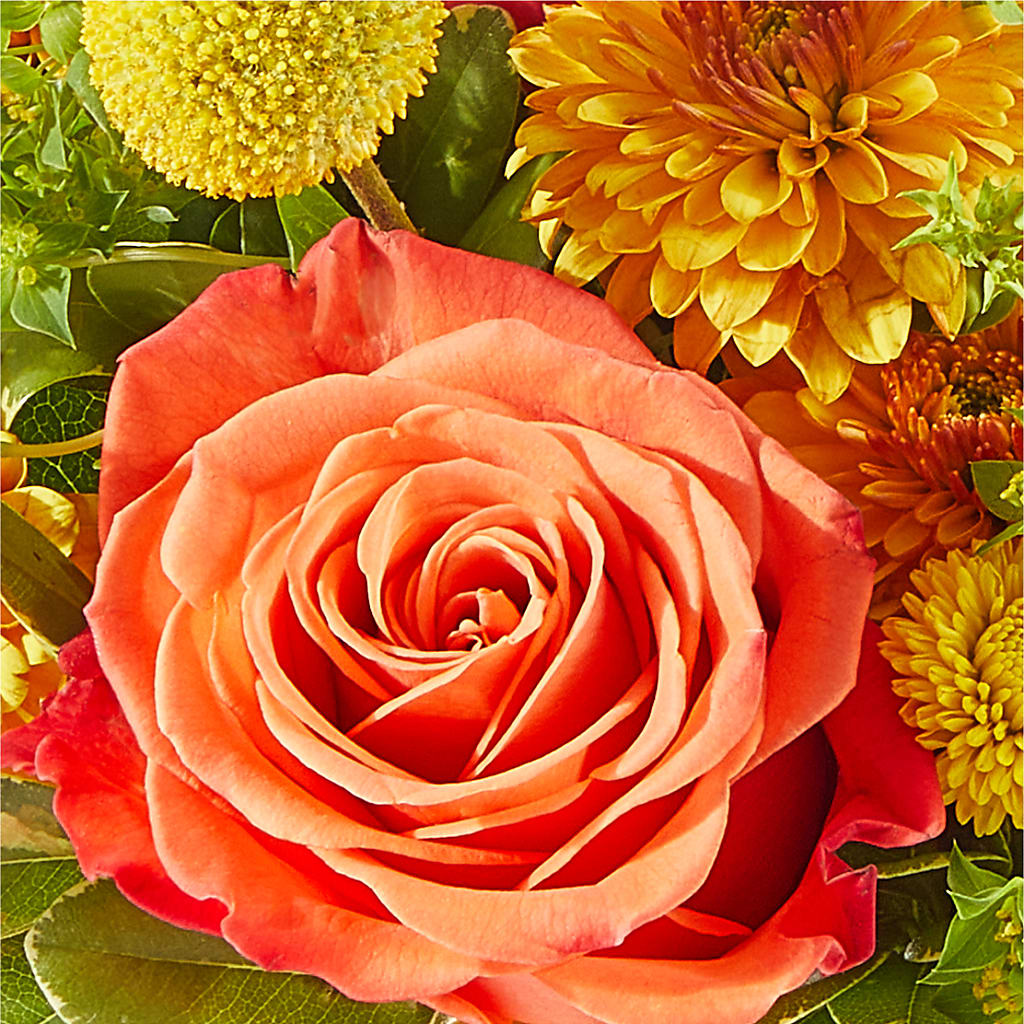 Gourdgeous Pumpkin – MARILYN'S FLOWERS & GIFTS, Camden TN