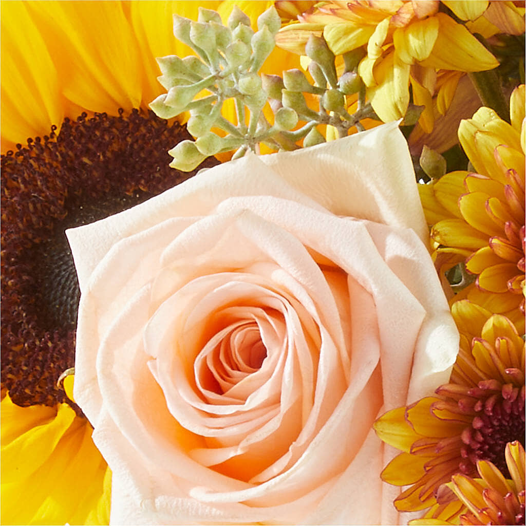 Pumpkin to Talk About Bouquet – MARILYN'S FLOWERS & GIFTS, Camden TN