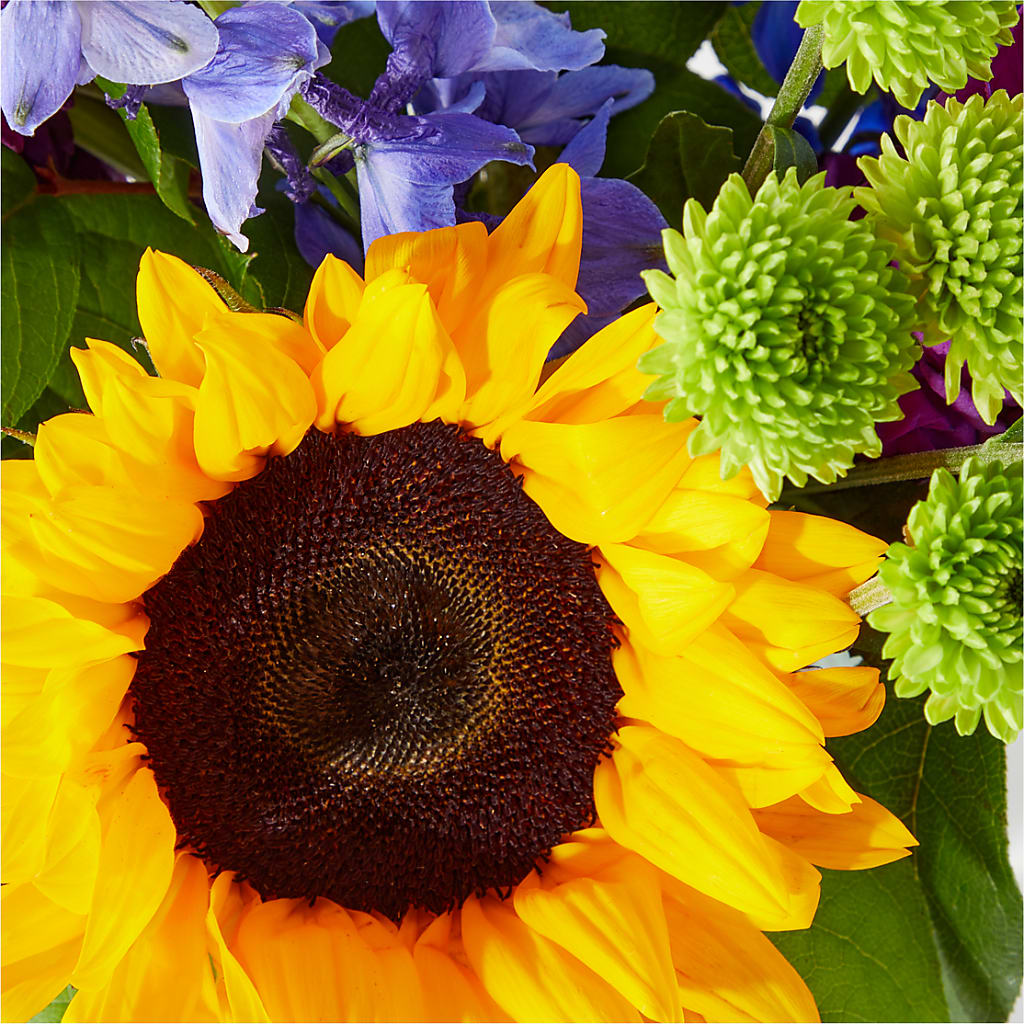 Catching Rays Bouquet – MARILYN'S FLOWERS & GIFTS, Camden TN