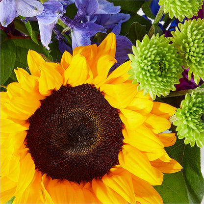 Catching Rays Bouquet – MARILYN'S FLOWERS & GIFTS, Camden TN