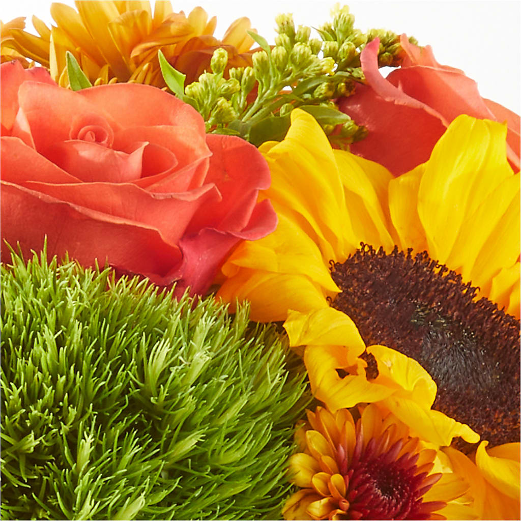 Farmer’s Market Stroll Bouquet – MARILYN'S FLOWERS & GIFTS, Camden TN