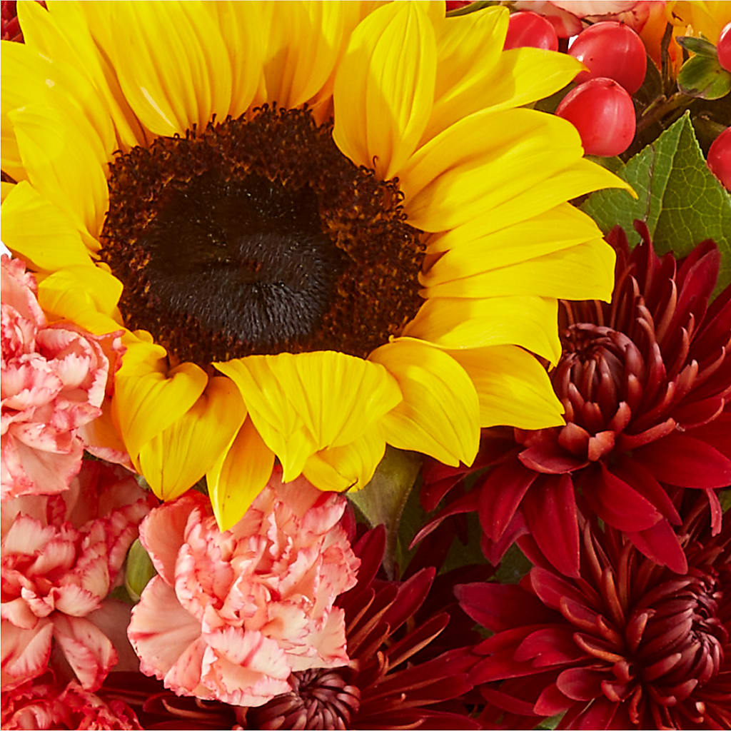 Fresh Cider Bouquet – MARILYN'S FLOWERS & GIFTS, Camden TN