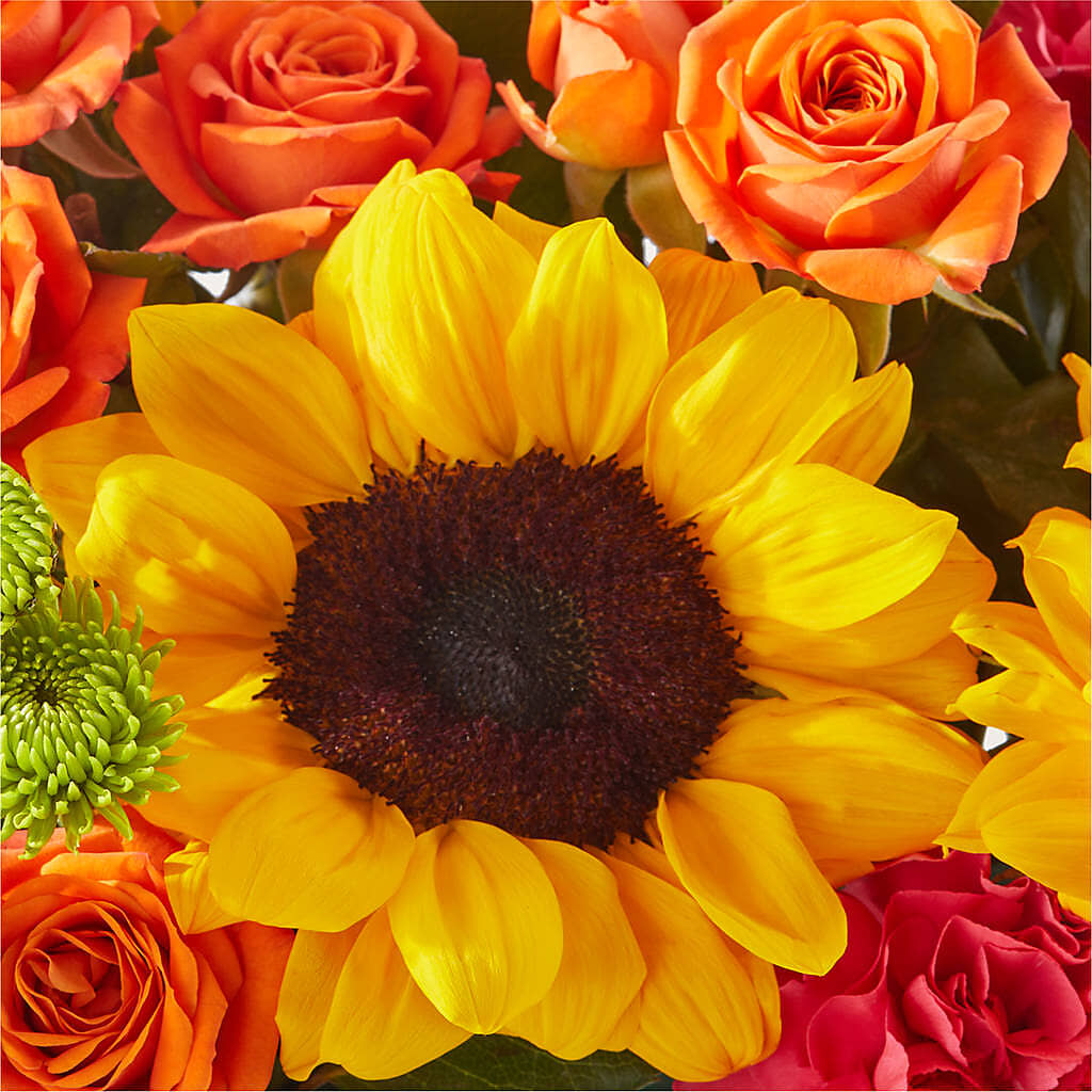 Sun-drenched Blooms Box Bouquet – MARILYN'S FLOWERS & GIFTS, Camden TN