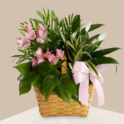 Living Spirit Dishgarden – MARILYN'S FLOWERS & GIFTS, Camden TN