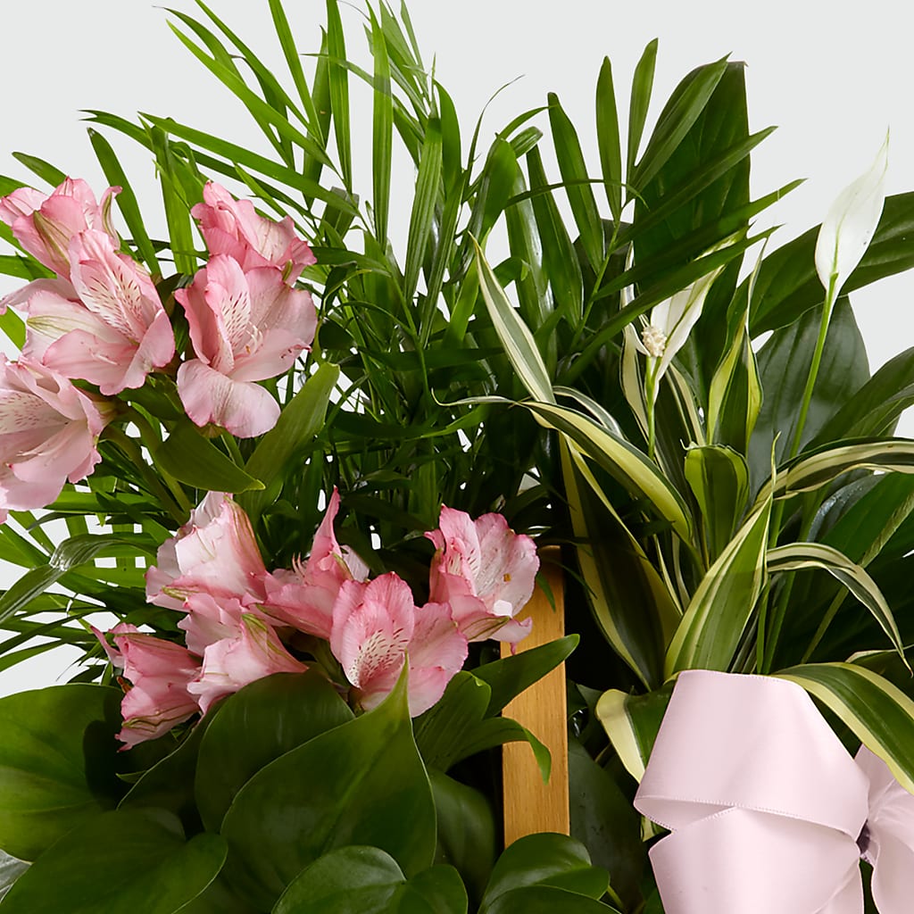 Living Spirit Dishgarden – MARILYN'S FLOWERS & GIFTS, Camden TN