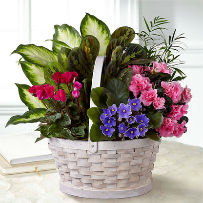 Peaceful Garden Planter – MARILYN'S FLOWERS & GIFTS, Camden TN