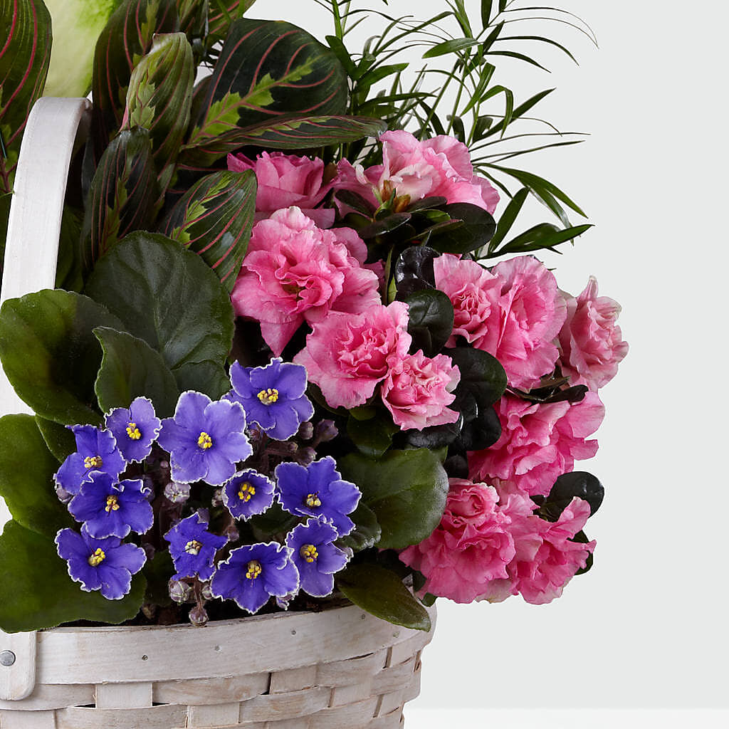 Peaceful Garden Planter – MARILYN'S FLOWERS & GIFTS, Camden TN