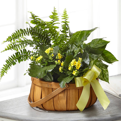 Always Dear Dishgarden – MARILYN'S FLOWERS & GIFTS, Camden TN