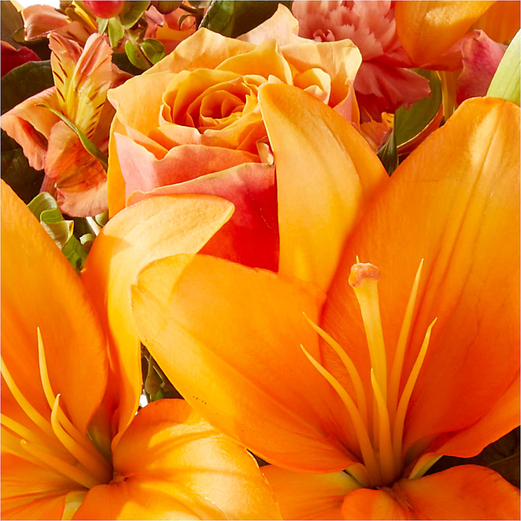 Afternoon Light Bouquet – MARILYN'S FLOWERS & GIFTS, Camden TN