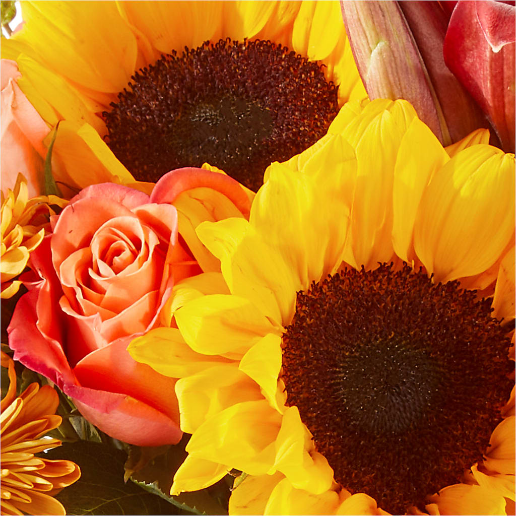 Acorn Lane Bouquet – MARILYN'S FLOWERS & GIFTS, Camden TN