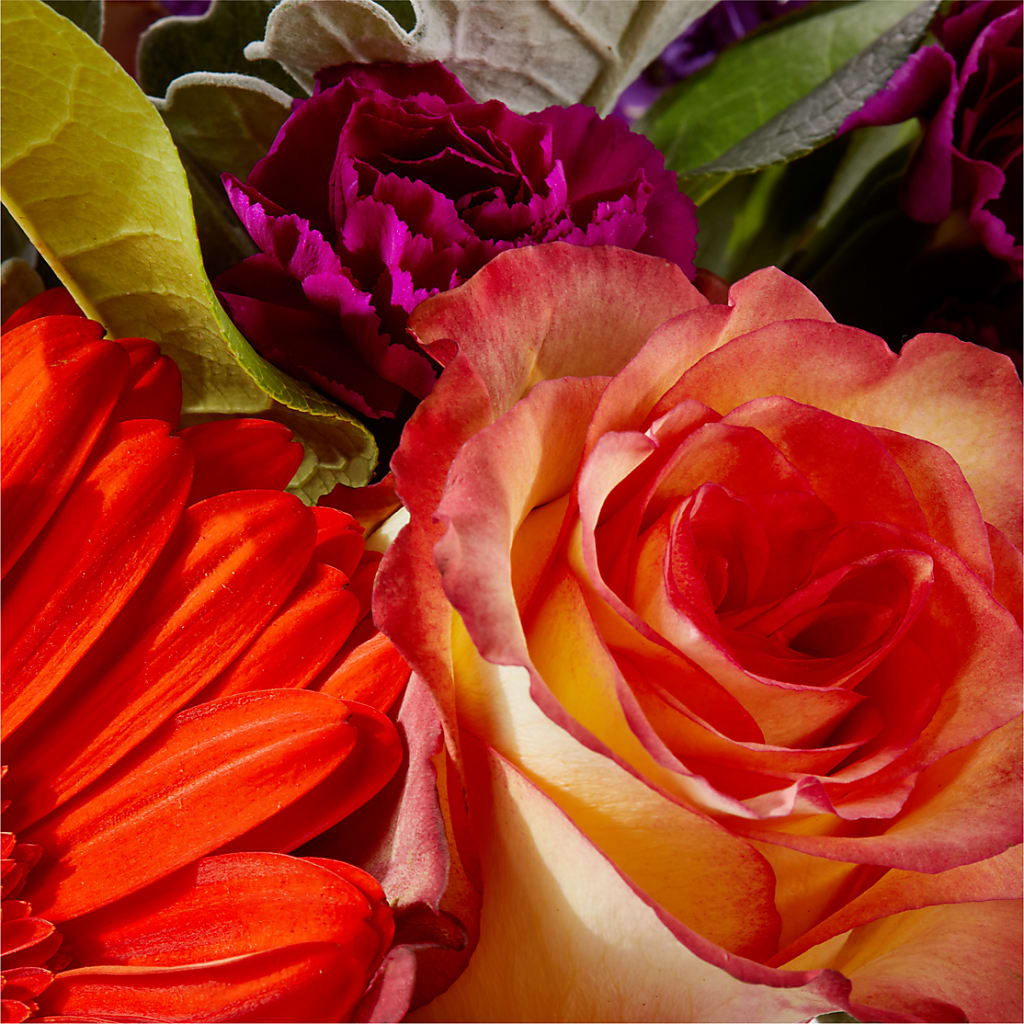 Sangria Bouquet – MARILYN'S FLOWERS & GIFTS, Camden TN