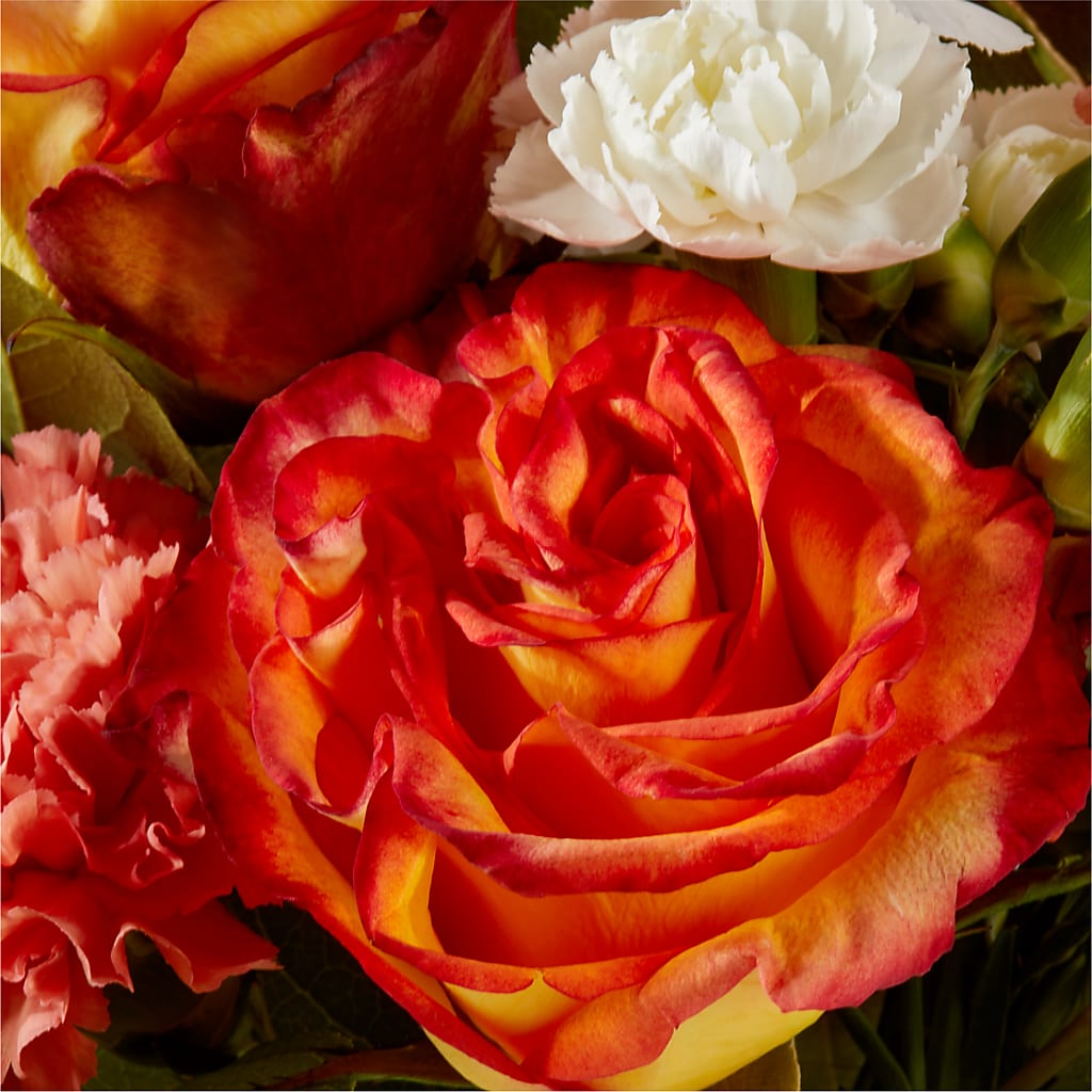 Apricot Glow Bouquet – MARILYN'S FLOWERS & GIFTS, Camden TN