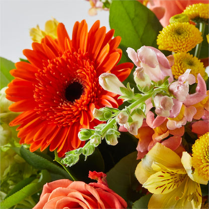 Autumn Sunshine Bouquet – MARILYN'S FLOWERS & GIFTS, Camden TN