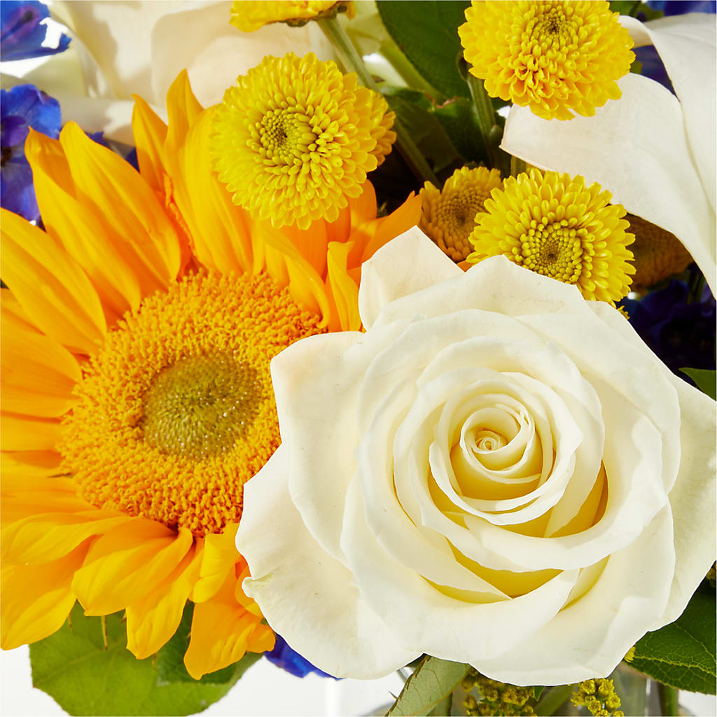 Stargazing Bouquet – MARILYN'S FLOWERS & GIFTS, Camden TN