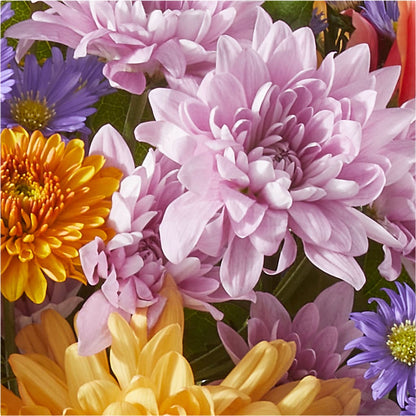Countryside Bouquet – MARILYN'S FLOWERS & GIFTS, Camden TN