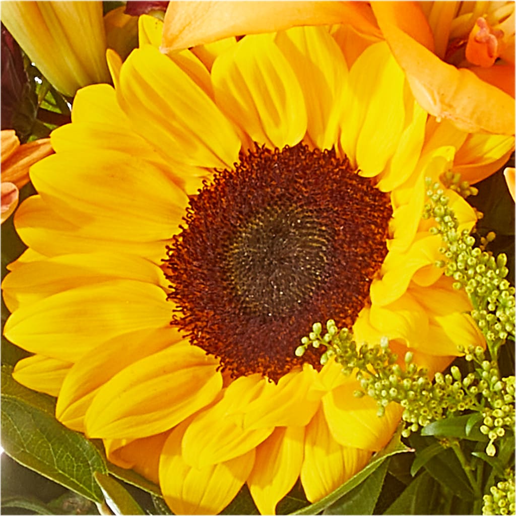 Seasons Change Bouquet – MARILYN'S FLOWERS & GIFTS, Camden TN