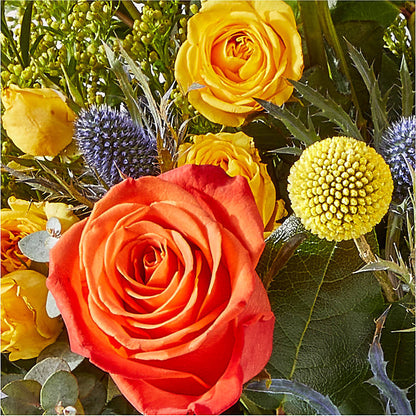 Disco Bouquet – MARILYN'S FLOWERS & GIFTS, Camden TN