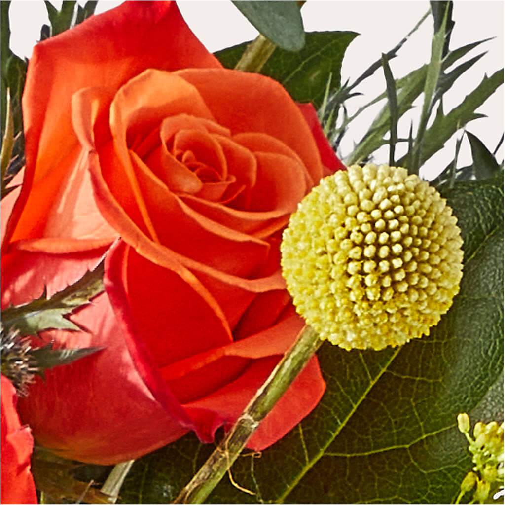 Disco Bouquet – MARILYN'S FLOWERS & GIFTS, Camden TN