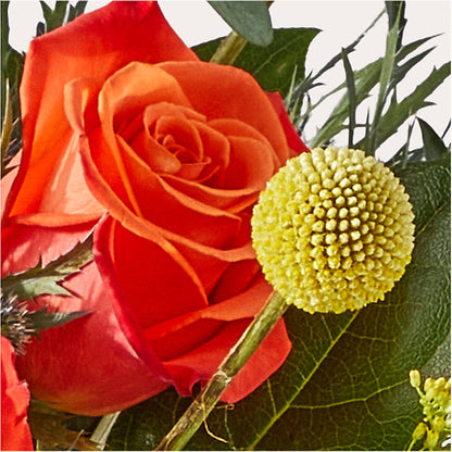 Disco Bouquet – MARILYN'S FLOWERS & GIFTS, Camden TN