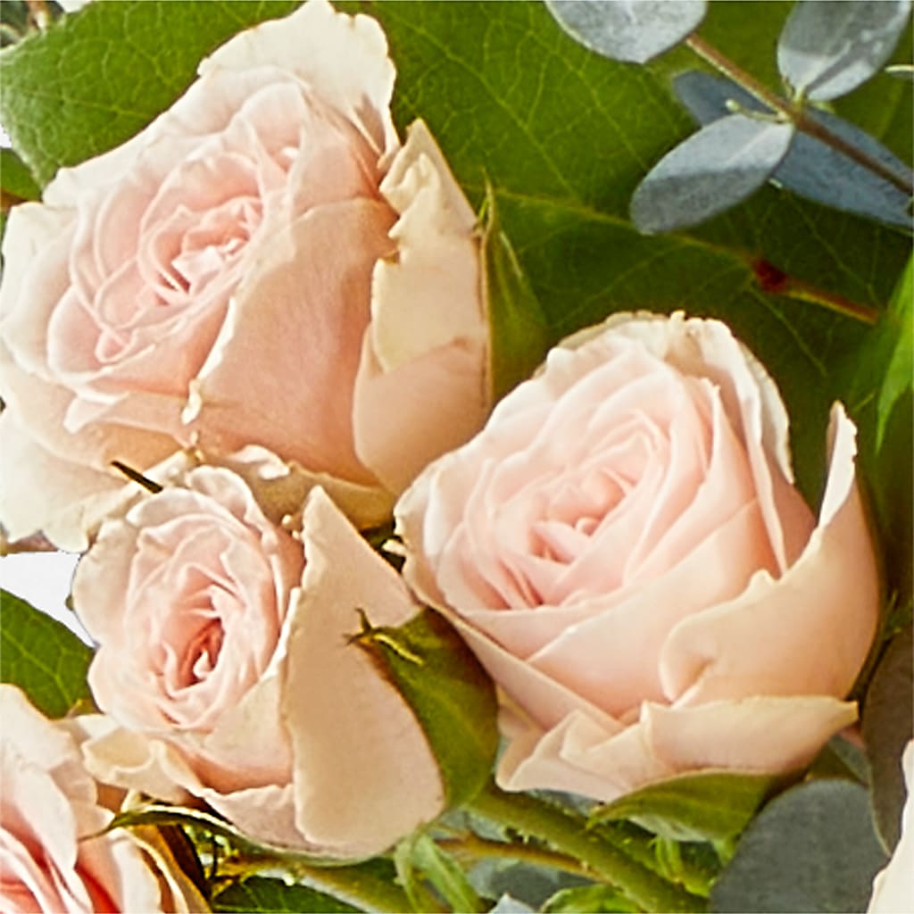Inspired Bouquet – MARILYN'S FLOWERS & GIFTS, Camden TN