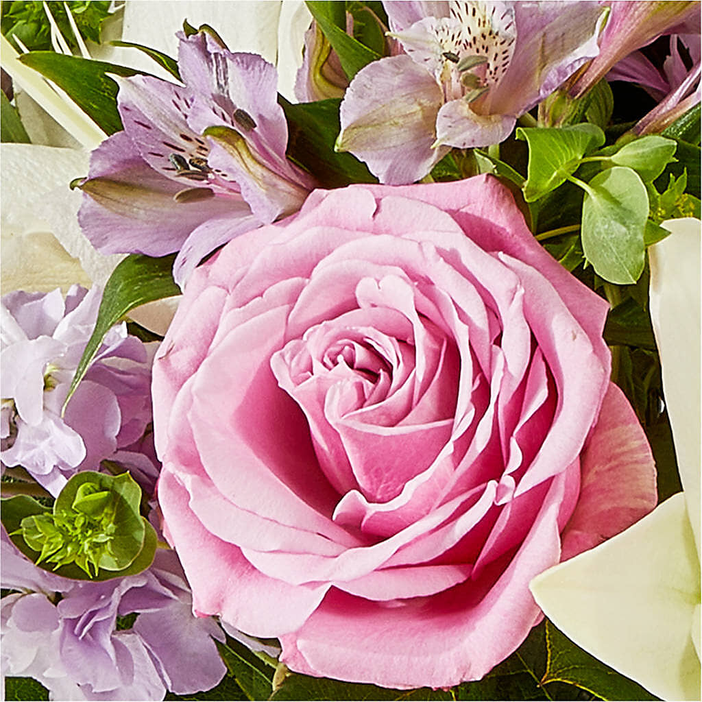 Daydreamer Bouquet – MARILYN'S FLOWERS & GIFTS, Camden TN