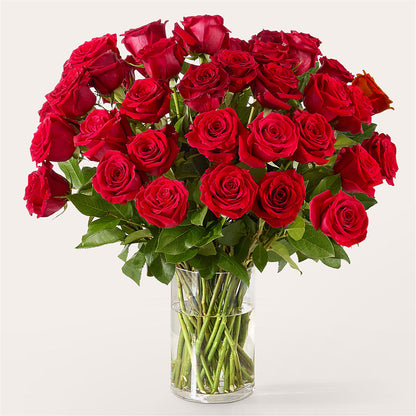 The One Red Rose Bouquet – MARILYN'S FLOWERS & GIFTS, Camden TN