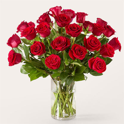 The One Red Rose Bouquet – MARILYN'S FLOWERS & GIFTS, Camden TN
