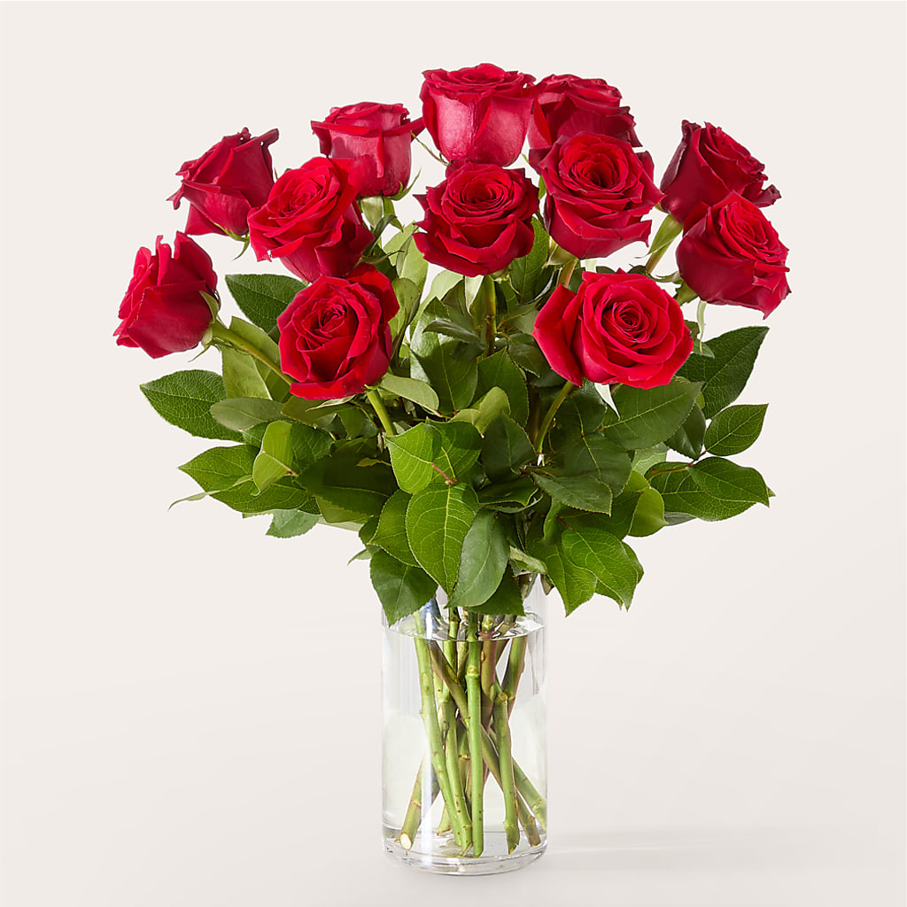 The One Red Rose Bouquet – MARILYN'S FLOWERS & GIFTS, Camden TN