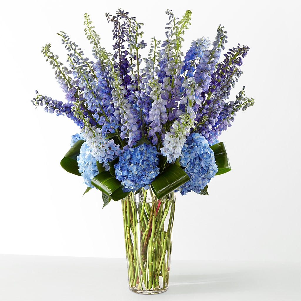 The Editorial – MARILYN'S FLOWERS & GIFTS, Camden TN